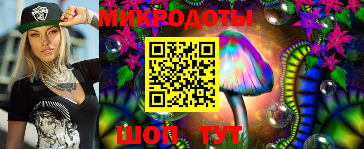Сокол  Галлюциногенные грибы ЛСД  как найти   Вход с VPN 