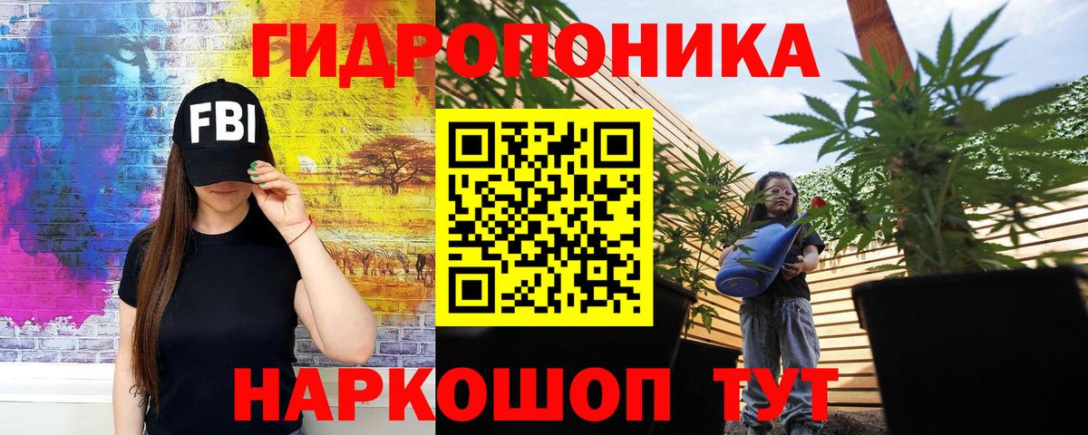 Бошки Шишки сатива Сокол